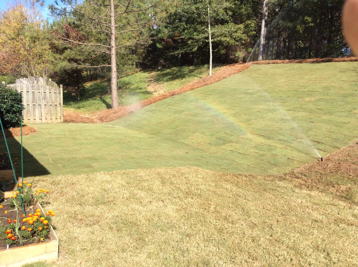 Irrigation Image